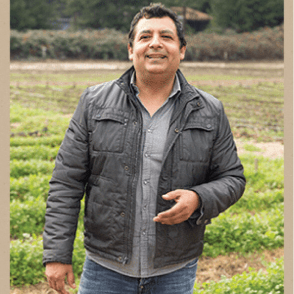 Meet Founder / Chef – Jorge Saldana